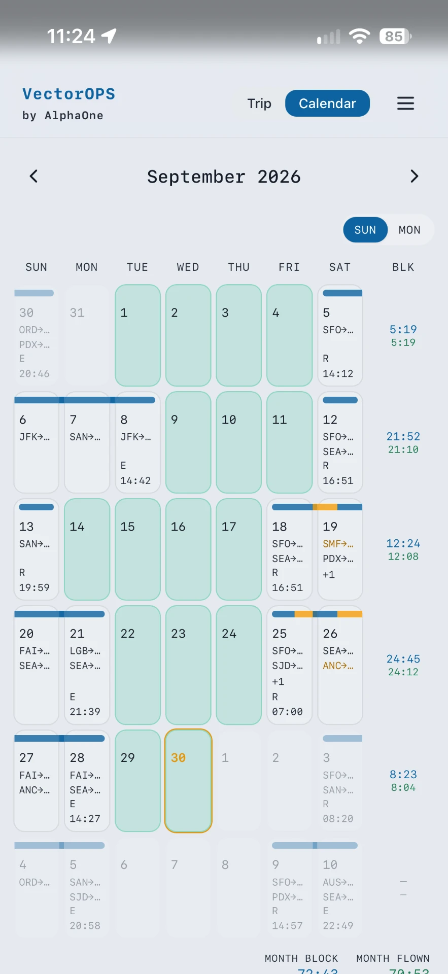 VectorOPS monthly roster calendar